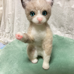 羊毛フェルト 猫 オーダー のおすすめ人気通販 検索結果｜Creema