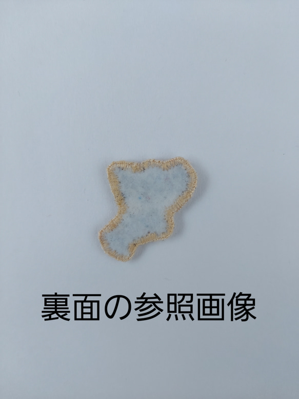  第6張的照片