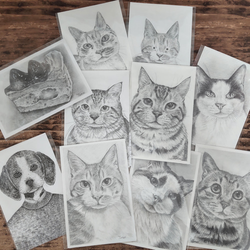 アメリカンショートヘア 絵画 透明。 通販 14172868｜Creema(クリーマ