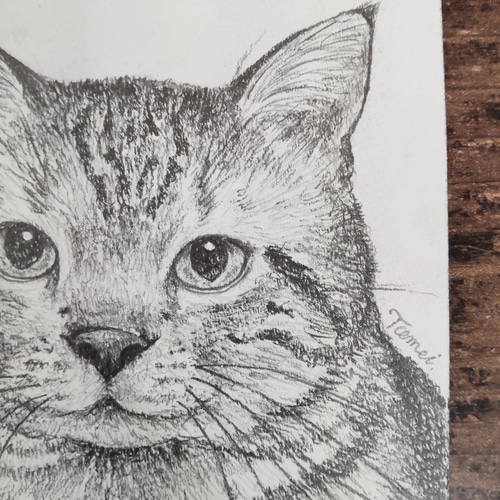 F 3号サイズ額縁　アメリカンショートヘア　油絵 F 3号サイズ額縁 アメリカンショートヘア 油絵 F 3号サイズ額縁