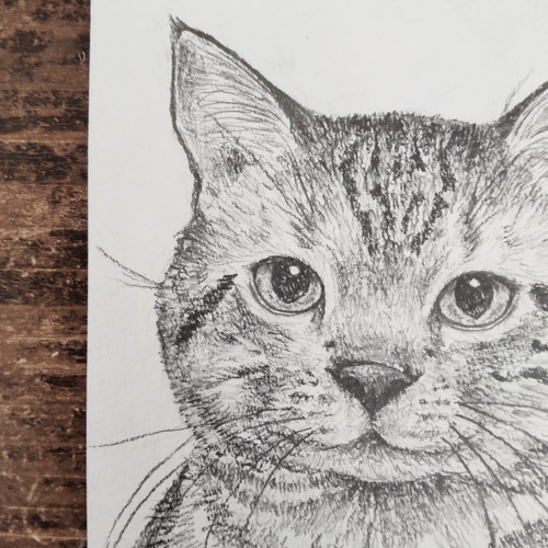 絵画 猫の絵 アメリカンショートヘア アンティーク 猫雑貨 可愛い猫 アメショ アメリカンショートヘア 絵画 透明。 通販 14172868｜Creema(クリーマ
