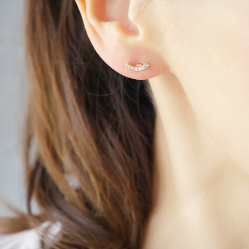 Wood monstera earring(ウッドモンステラピアス、イヤリング