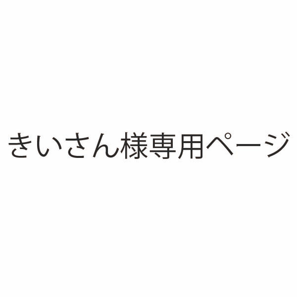 きいさん様専用ページ 1枚目の画像