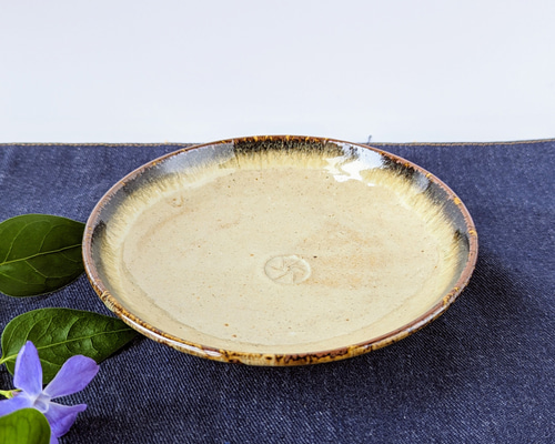 fae613ff34b9cbcbf72de3581f7672