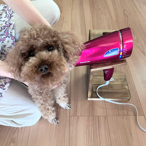 子犬用ドライヤースタンド／ドライヤーホルダー（角度2段階） おもちゃ