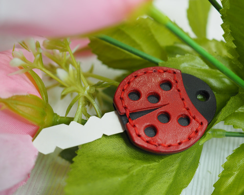 【値下げ可能】COACH キーケース 花とてんとう虫 2025年最新】coach てんとう虫の人気アイテム - メルカリ