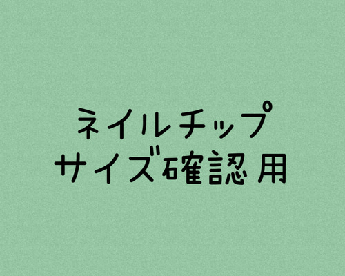 ご確認用ネイルチップ サイズ確認用チップ ネイルチップ（つけ爪） 0829.nail 通販