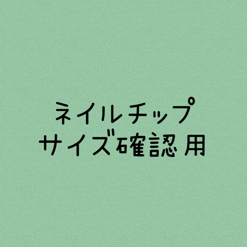 ご確認用ネイルチップ サイズ確認用ネイルチップ 2種類 ネイルチップ（つけ爪） nail