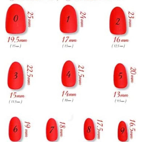 サイズ確認用チップ ネイルチップ（つけ爪） 0829.nail 通販 14177674