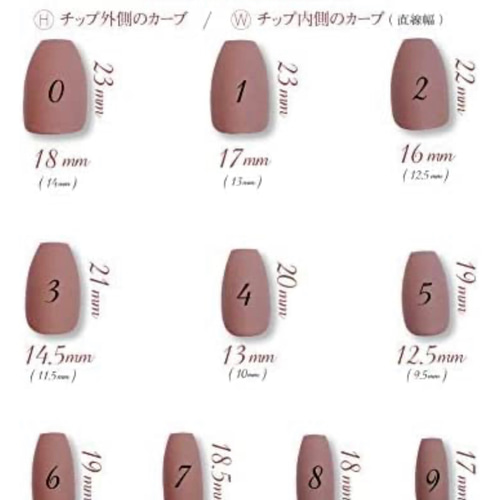 ご確認用ネイルチップ サイズ確認用チップ ネイルチップ（つけ爪） 0829.nail 通販