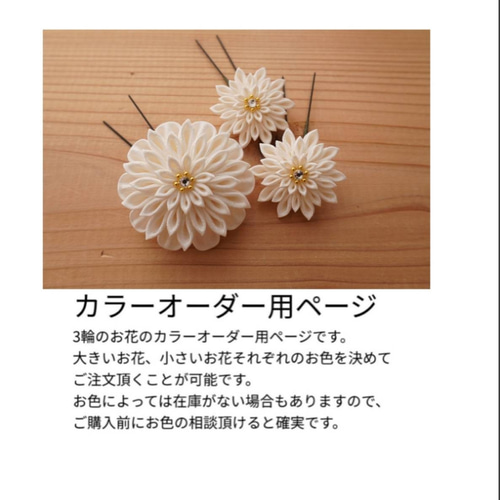 専用ページ ヘアピンオーダー のたまい 