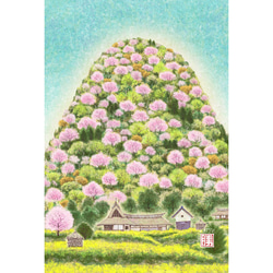 「花に誘われて３題」　ポストカード　３点セット　ハス　草花　山桜 3枚目の画像