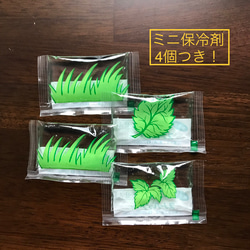  第6張的照片