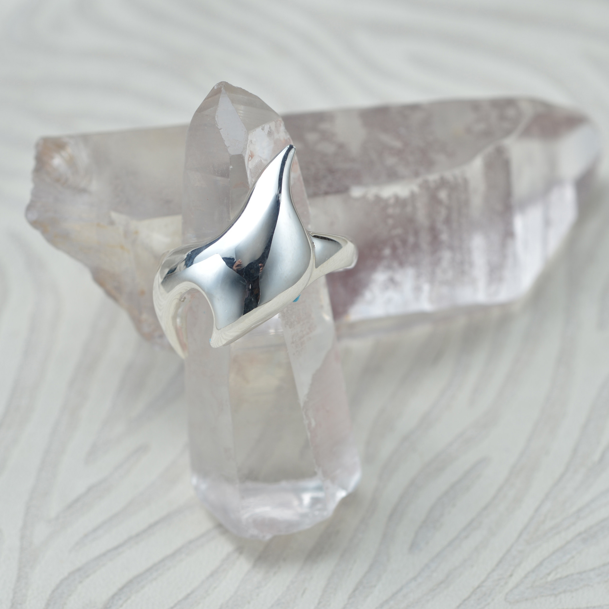 リング　★ネイチャーシリーズ