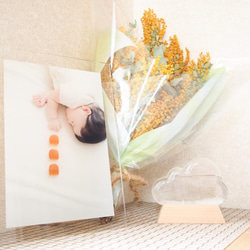 アクリルフォトパネル クリアフレームA3サイズ 写真