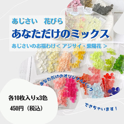 あなただけのミックス　各10枚 x お好きな3色　＜ アナベル ＞　あじさい　花びら　 ＜ アジサイ 紫陽花 ＞ 1枚目の画像