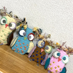 オウルの森　amigurumi 3枚目の画像