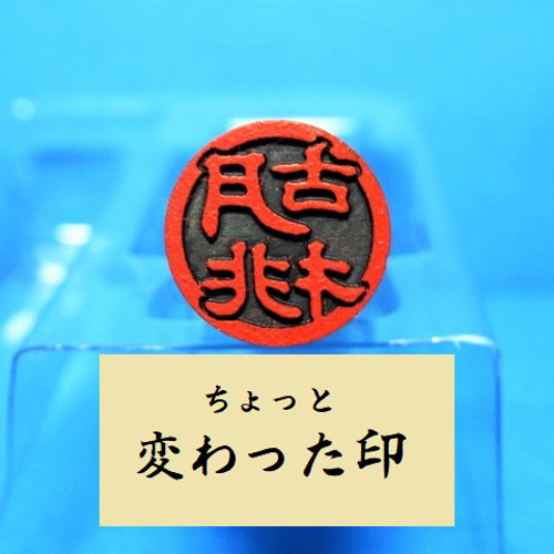 銀行印 認印 印鑑 はんこ 【ちょっと変わった印】 黒檀・アグニ印材 12