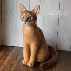 羊毛フェルト アビシニアンぬいぐるみ 羊毛フェルト「うちの子」オーダー にじたま屋 ぬいぐるみ 猫 犬