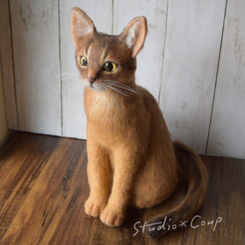 アビシニアンの子猫 羊毛フェルト studio*coup 通販 14179967 アビシニアンの子猫 羊毛フェルト studio*coup 通販 14179967