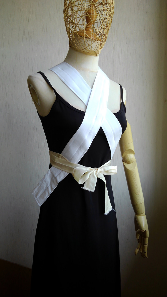 NV-21 棲ん うそつき美容衿 半衿、衣紋抜き付き 