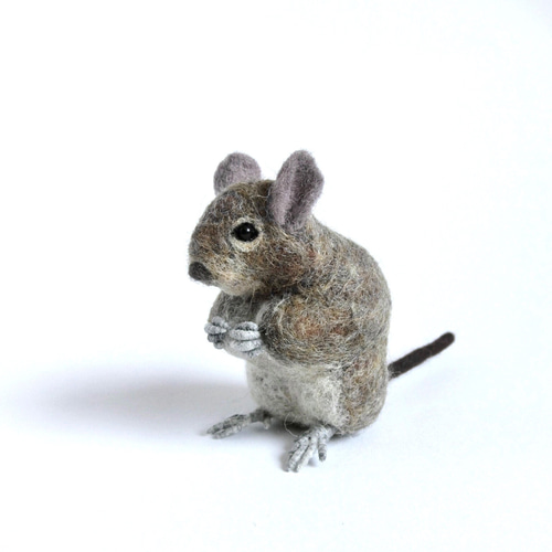 羊毛フェルト デグー 羊毛フェルト りすすのす 通販 14180327