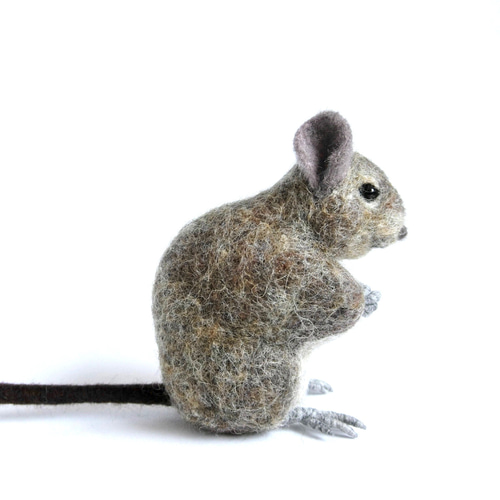 羊毛フェルト デグー 羊毛フェルト りすすのす 通販 14180327｜Creema