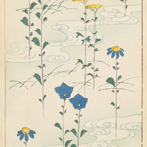 NO.399】風流な桔梗の花の日本画アートポスター☆夏和室インテリア和