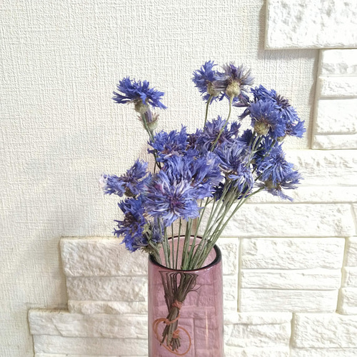 単品シリーズ《ドライフラワー・矢車草》1束 ドライフラワー 石と花  