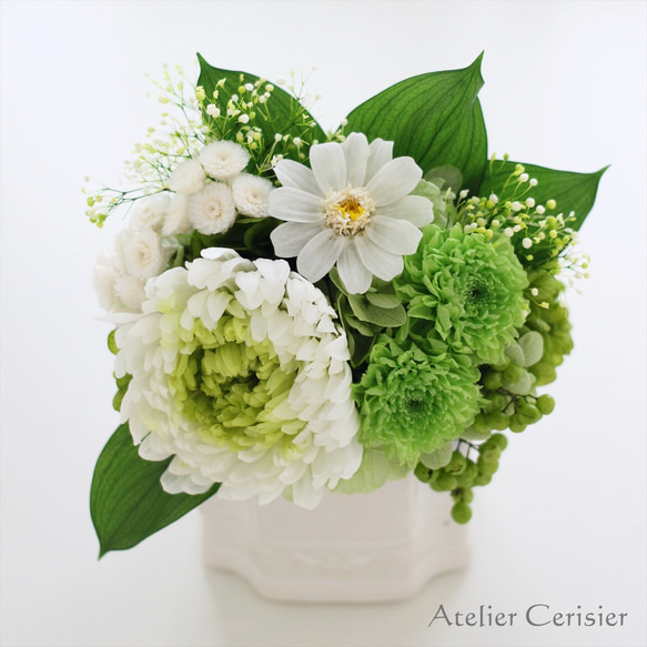 プリザーブドフラワー仏花＜スーベニア Sサイズ＞グリーン 菊 百日草 【お供え花】 4枚目の画像