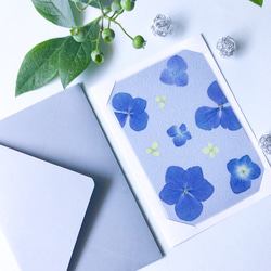 青い紫陽花のカード 4枚目の画像