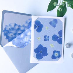 青い紫陽花のカード 1枚目の画像