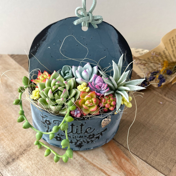 多肉寄せ植え♡樹脂粘土♪グリーンインテリア、多肉植物、フェイク  