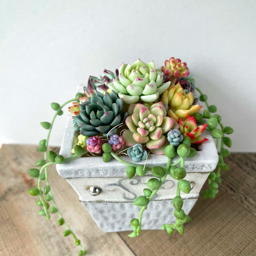多肉寄せ植え♡グリーンネックレス