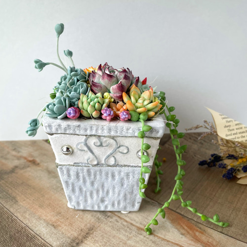 多肉植物寄せ植え♡グリーンネックレス♪ エケベリア♪樹脂粘土