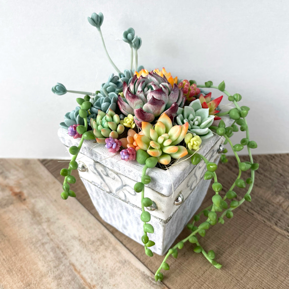多肉植物寄せ植え♡グリーンネックレス♪ エケベリア♪樹脂粘土