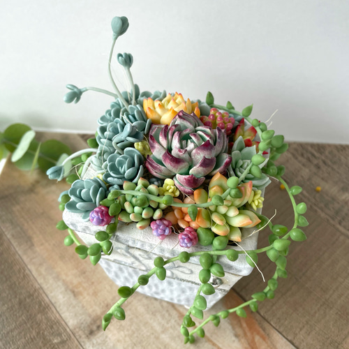 多肉植物寄せ植え♡グリーンネックレス♪ エケベリア♪樹脂粘土