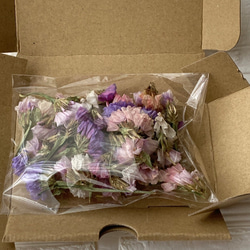 限定　箱いっぱい　たっぷり　スターチス　おまかせ　花材　ドライフラワー　希少カラー 3枚目の画像