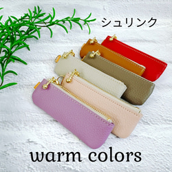 コインが見やすくたっぷり入る長細いコインケース  シュリンク　寒色系 16枚目の画像