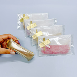 コインが見やすくたっぷり入る長細いコインケース  シュリンク　寒色系 15枚目の画像