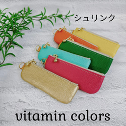 コインが見やすくたっぷり入る長細いコインケース  シュリンク　寒色系 18枚目の画像