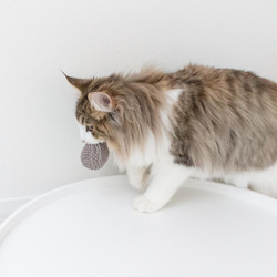 【受注製作】コットンボール（まる）オーガニックコットンで作った猫のおもちゃ 3枚目の画像