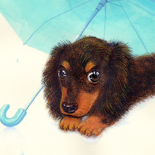 アクリル画 ミニチュアダックス 犬 動物