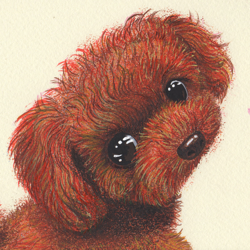 トイプードル／桜『つれてって』イラスト絵画（額・マット付き