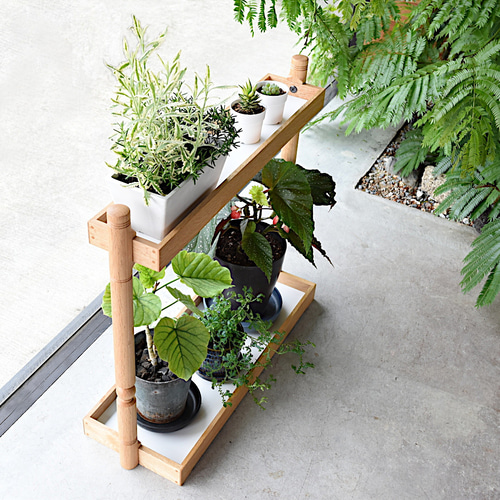 植物棚 617ZKCFNlCL._UF894,1000_QL80_.jpg