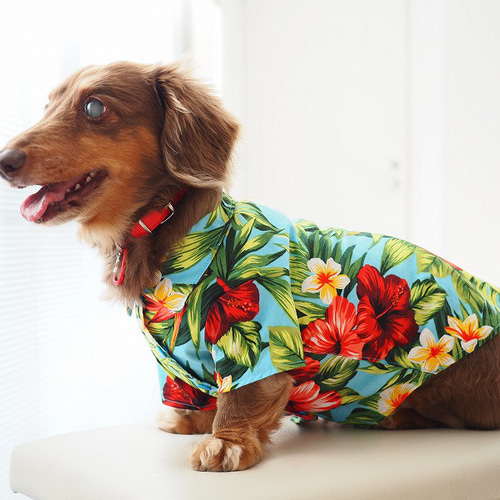 犬服 ダックスちゃんのかわいいアロハ柄のシャツ ペット服