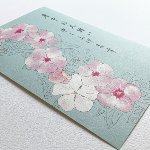 暑中見舞い】楽しい夏の思い出を咲かせる ニチニチソウの暑中見舞い