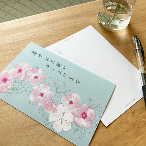 暑中見舞い】楽しい夏の思い出を咲かせる ニチニチソウの暑中見舞い