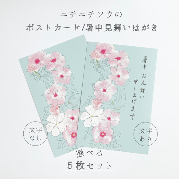 5枚セット　選べる文字あり/なし　楽しい夏の思い出を咲かせる　ニチニチソウの暑中残暑見舞いはがき　ポストカード【A-5】 1枚目の画像