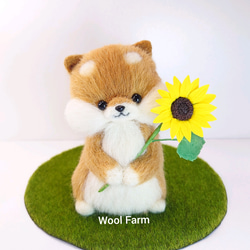 ひまわり柴犬　～Wool Farm～　羊毛フェルト 1枚目の画像